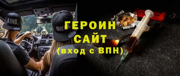 индика Новозыбков