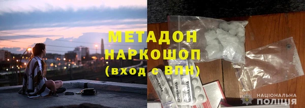 индика Новозыбков