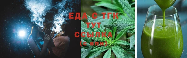 индика Новозыбков