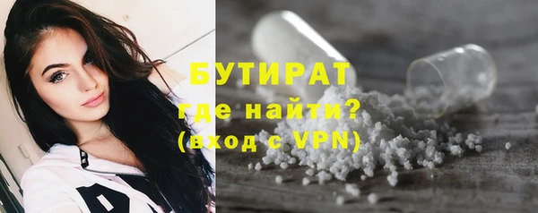 индика Новозыбков