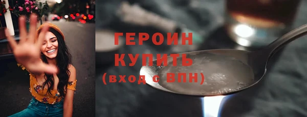 индика Новозыбков