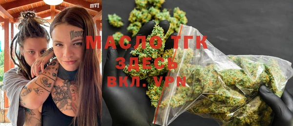 индика Новозыбков
