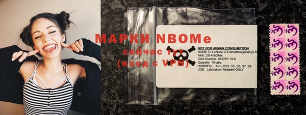 индика Новозыбков