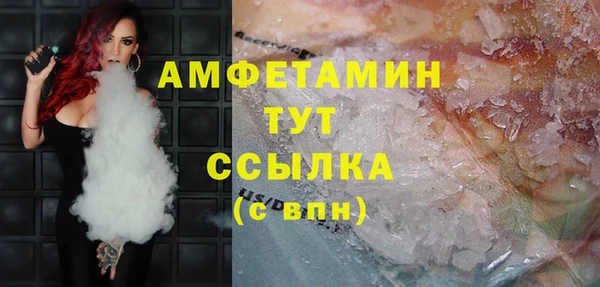 индика Новозыбков