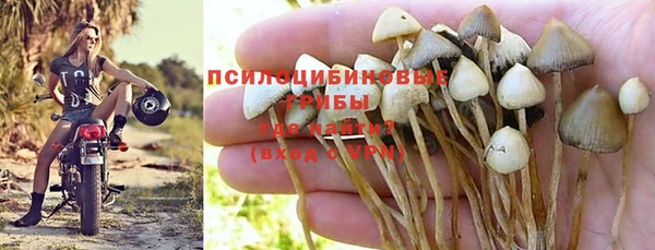 дживик Нефтегорск