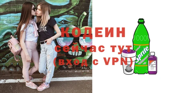 индика Новозыбков