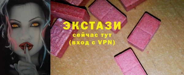 индика Новозыбков